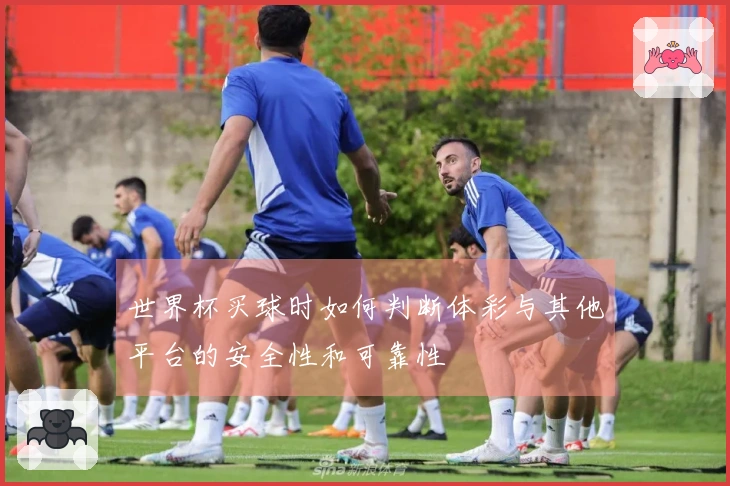 世界杯买球时如何判断体彩与其他平台的安全性和可靠性