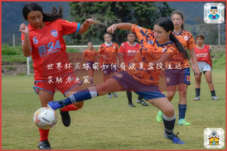 世界杯买球前如何有效复盘投注记录助力决策