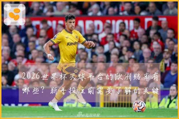 2026世界杯买球平台的欧洲赔率有哪些？新手投注前需要了解的关键点
