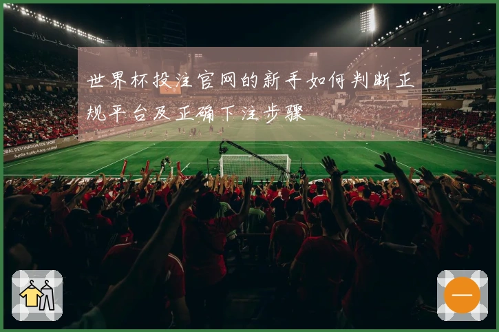 世界杯投注官网的新手如何判断正规平台及正确下注步骤